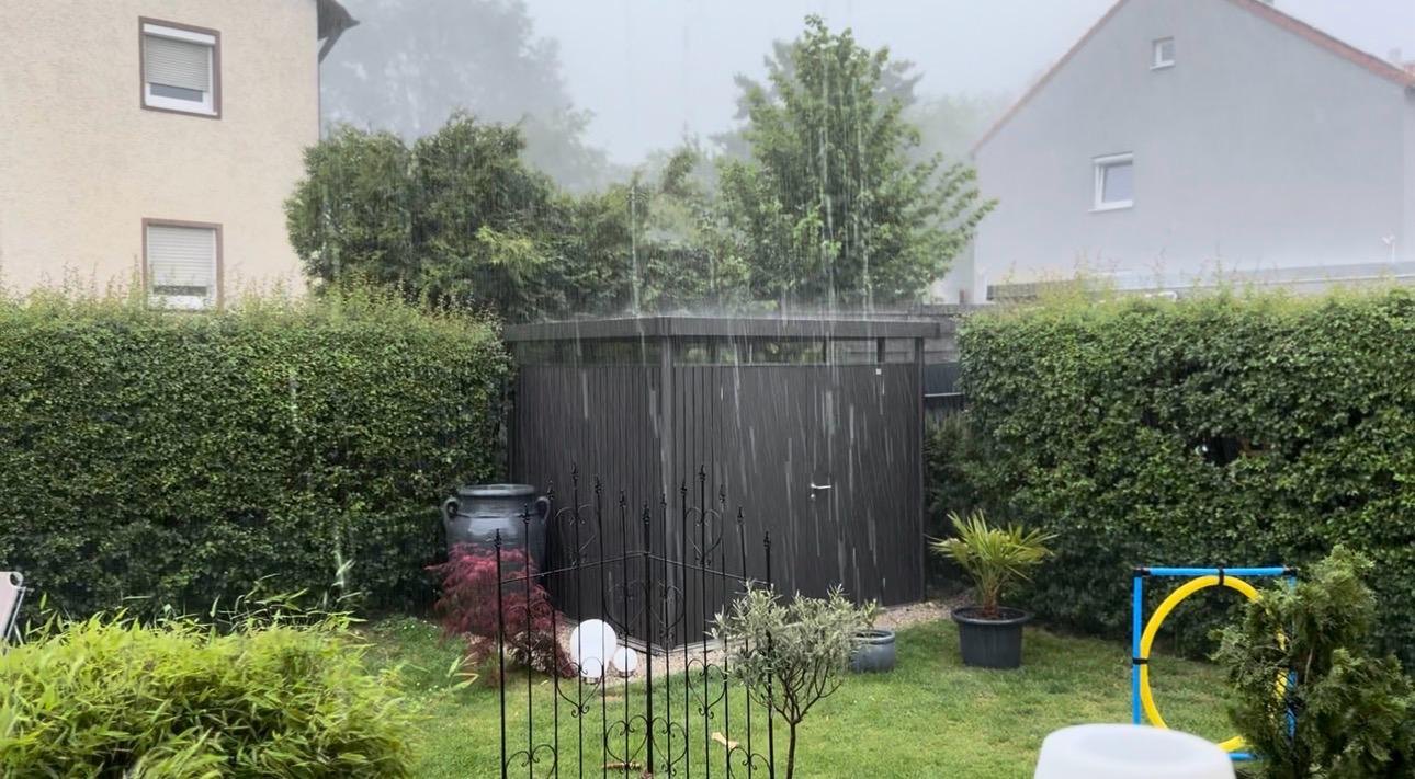 Garten vor dem Zaunbau